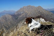78 Nika in osservazione